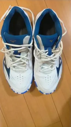 Mizuno　WAVE CLAW4 バドミントンシューズ 26.5cm 2E