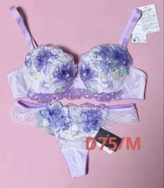 2025年最新】サルート63の人気アイテム - メルカリ