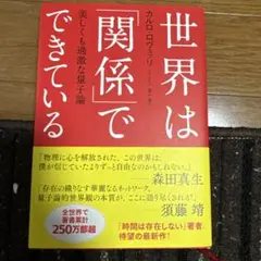世界は「関係」でできている : 美しくも過激な量子論