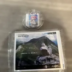 FGOアルジュナオルタ ラベルステッカOVERTHE SAME SKYアクキ付き