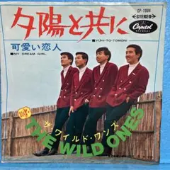 ザ・ワイルド・ワンズ コンプリート・ヒストリー・ボックス - メルカリ