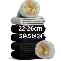 靴下 メンズ 冬 厚手 5色5足組 極暖 極厚 裏パイル ウール素材