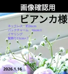 Item thumbnail for item dd59481b-ae4c-4c84-9278-774fc9e9cf92