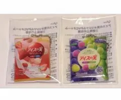 アイスの実 ミニチュアマスコット 2種セット