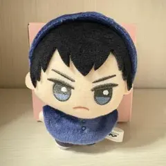 ハイキュー!! ちびぐるみ アニマルポンチョ vol.2 影山飛雄