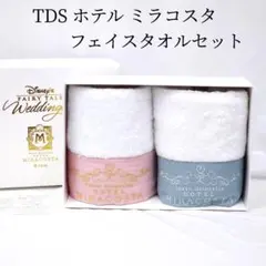 新品 東京ディズニーシー ホテル ミラコスタ タオルセット