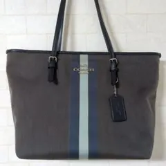 Item thumbnail for item 39ad85d9-d943-42c7-b1a3-a5d3579513f5