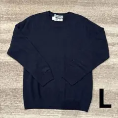 SIMPLICITE ウール カシミヤ混 メンズセーター Lサイズ