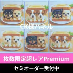 ♡セミオーダー受付中♡　わんこサンドイッチ　犬　377　枚数限定Premium