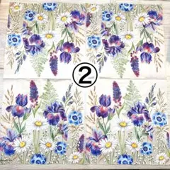 Item thumbnail for item ad161833-3ca5-4cd9-a978-0addf0ae682c