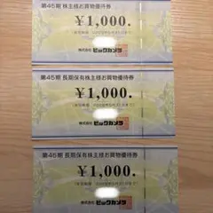 ビックカメラ 株主優待 3,000円分