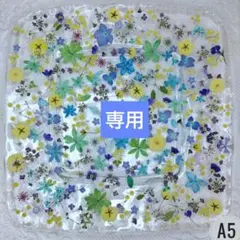 みっひー様 リクエスト 2点 まとめ商品