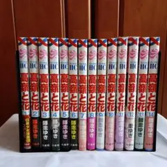 高嶺と花【1巻～14巻まで】師走ゆき