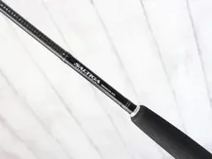 DAIWA ソルティガ JIGGING 60HS オフショア ブリ ヒラマサ ダイワ ソルティガ ヒラマサ 60S F DAIWA SALTIGA スピニング
