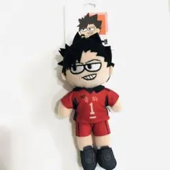 2025年最新】ハイキュープラザ ジロリ ぬいぐるみの人気アイテム