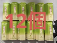 Sonny Angel アニマル シリーズ Ver.1 Animal 12個