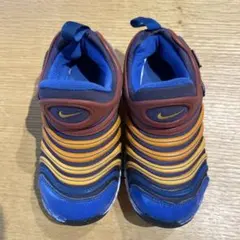 Nike ダイナモ　17.0cm