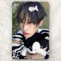 ALD1 少年 BEAST hellolive アンシン 猫と魚 トレカ 2026年最新】HELLOLIVEの人気アイテム - メルカリ