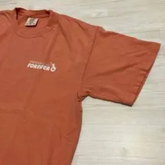 Tシャツ　Lサイズ　メンズ　レディース