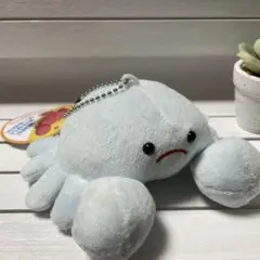 ぐーかに　おまけ付き グーのかに、プライズに登場！！