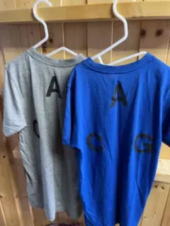 値下げ　NIKE ACG Tシャツ　2枚セット
