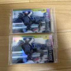 ビワハヤヒデ　セットのサムネイル