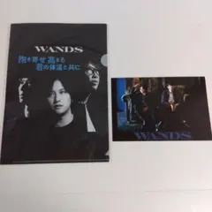WANDS　クリアポスター　4種セット 2025年最新】wands ポスターの人気アイテム - メルカリ