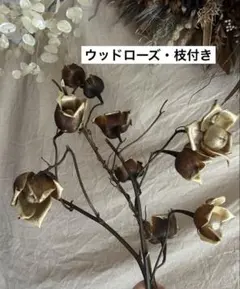 夏の花材セット・ウッドローズ枝付き・アサガオ ドライフラワー・花材・茶色の花材のサムネイル