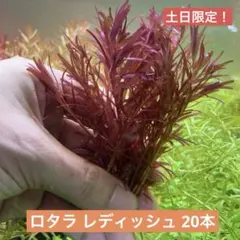 kaminon様 リクエスト 4点 まとめ商品