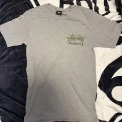 Stussy Tシャツ グレー Sサイズ