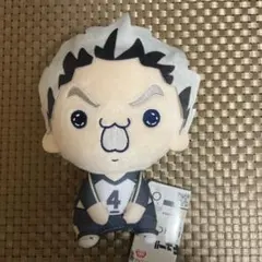 ハイキュー もちぴこ