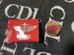 EXILE REDPHOENIX AKIRA 缶バッジ