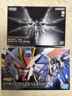 RG 1/144 ストライクフリーダムガンダム & 天空の翼 セット