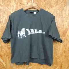 ビームスボーイ　YALE イェール大学 カレッジTシャツ　BEAMS BOY