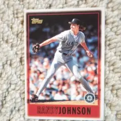 2025年最新】ランディージョンソンの人気アイテム - メルカリ