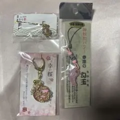 Item thumbnail for item 813624cb-4871-4b0f-96bf-eebc58a72295