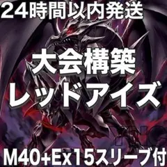 【新規採用】遊戯王　真紅眼の黒竜　炎の剣士　大会構築デッキ P41【24時間以内発送】遊戯王 真紅眼の黒竜 炎の剣士 本格構築済み