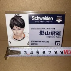 ハイキュー　ファンパーク　名刺カード　影山飛雄 ③