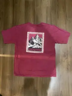 patagonia Tシャツ 90年代 US製LARGE