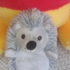 Item thumbnail for item 9e03780f-4a34-4bb3-bc55-8f246e178654