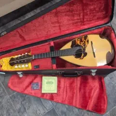 マンドリン 落合忠男 1975年 昭和50年 弦楽器 ハードケース付き - メルカリ