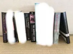 洋書 silent patient