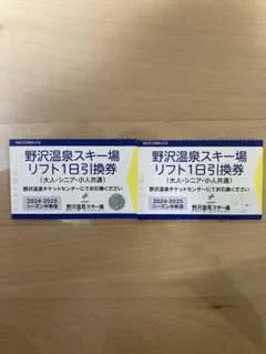 野沢温泉スキー場 1日券2枚(引換券) 野沢温泉スキー場 1日引換券 2枚 スキー場