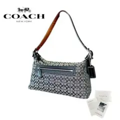 2026年最新】coach ワンショルダーバッグ シグネチャーの人気アイテム