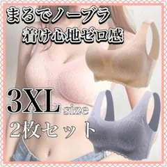 3XL ノンワイヤー シームレス　ベージュ　ブラック　2枚　セット　かわいい
