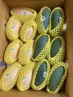 タイ産マンゴー 14-18個入り約4.5キロ - メルカリ