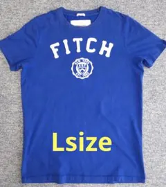 アバクロンビー　ロゴワッペンＴシャツ（L）
