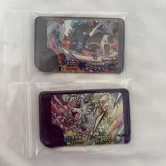 ポケモンフレンダ　 ダークライ・ガチグマ カードセット