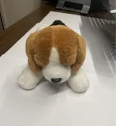 いぬ　ぬいぐるみ