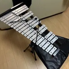 Item thumbnail for item 7895eb3e-78fc-4674-a1cb-55eae26e40bc